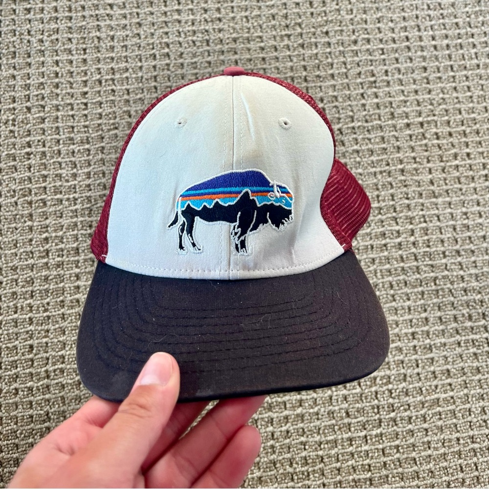 Patagonia Trucker Hat